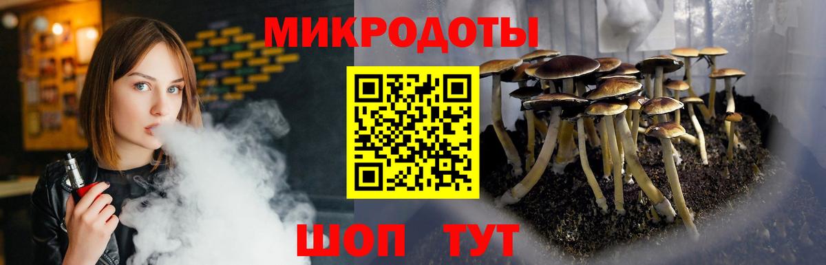 Псилоцибиновые грибы Cubensis Наро-Фоминск